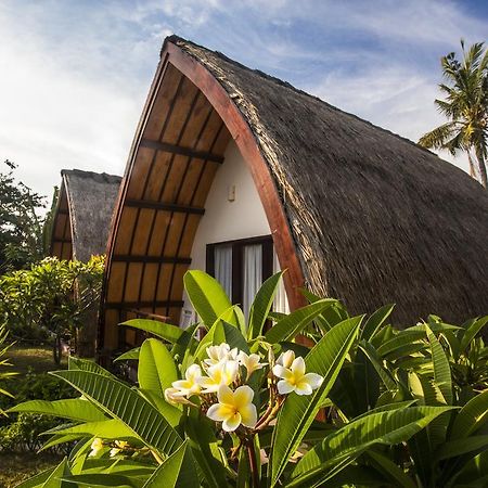 Diversia Diving Club & Bungalows Гілі-Траванган Екстер'єр фото