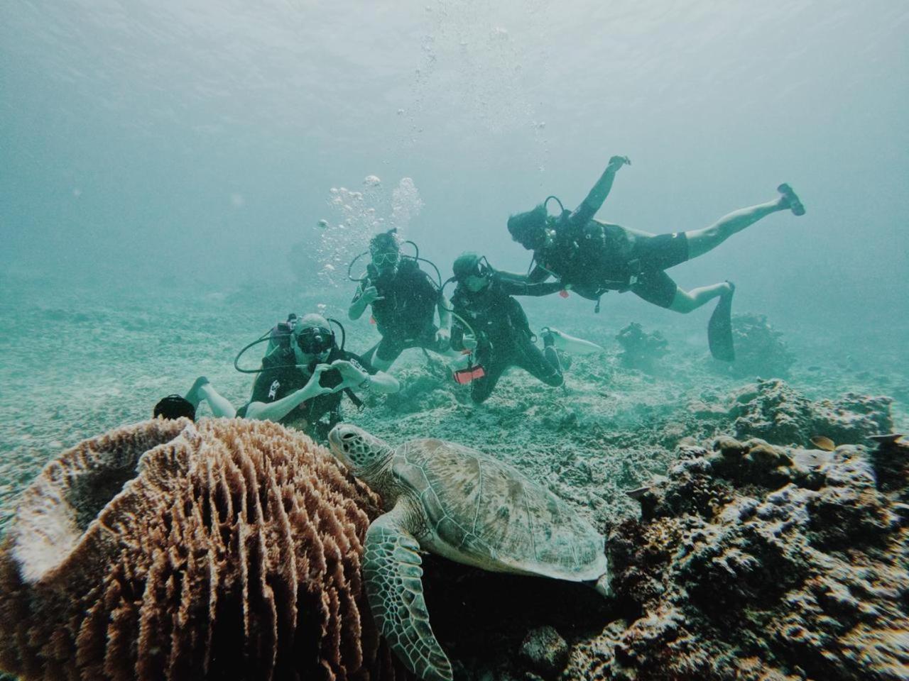 Diversia Diving Club & Bungalows Гілі-Траванган Екстер'єр фото